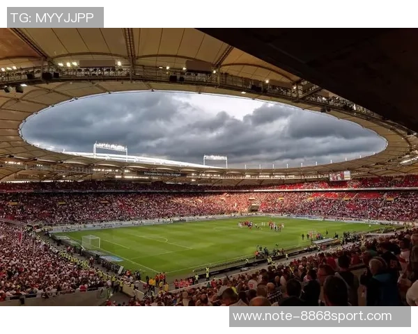 左拉足球的传奇旅程与技术分析探讨球场上的艺术与激情